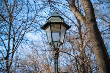 Fototapeta na wymiar Vintage street lighting lantern against the background of spring tree branches and blue sky in Krakow