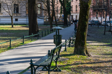 Clean alley with black metal litter bin in the city park in early spring in the rays of sunlight