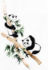 panda bears climbing bamboo