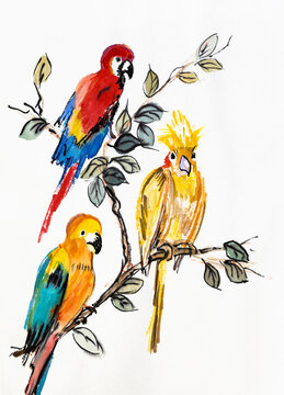 Multi-colored parrots sitting on the branches of a tree
