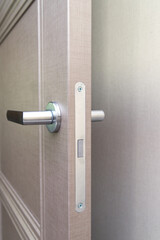 stylish doorknob and door in a design apartment