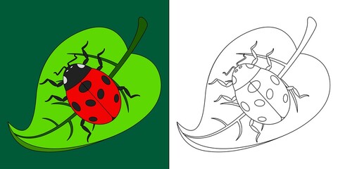 Ladybug on a leaf suitable for children's coloring page vector illustration