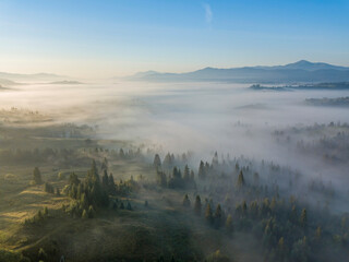 Morning fog in the Ukrainian Carpathians. Aerial drone view.