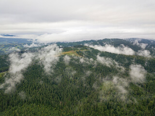 Green slopes of Ukrainian Carpathian mountains in summer. Cloudy morning, low clouds. Aerial drone view.