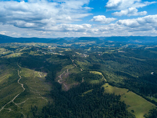 Fototapeta premium Green mountains of Ukrainian Carpathians in summer. Coniferous trees on the slopes. Aerial drone view.