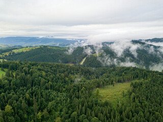 Naklejka na ściany i meble Green slopes of Ukrainian Carpathian mountains in summer. Cloudy morning, low clouds. Aerial drone view.