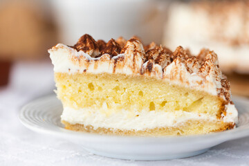 Piece of homemade tiramisu cake with cocoa on top on white porcelain plate