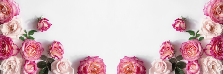 Floral banner made of beautiful pink rose buds lying on white background with sunlight. Nature...