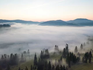 Crédence en verre imprimé Forêt dans le brouillard Brouillard matinal dans les Carpates ukrainiennes. Vue aérienne par drone.