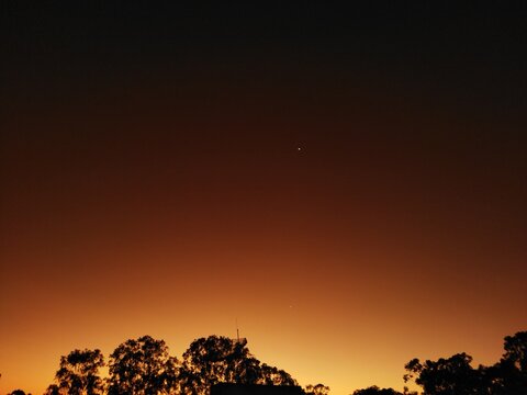 sunset with trees