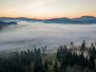 Peel and stick wall murals Forest in fog Morning fog in the Ukrainian Carpathians. Aerial drone view.