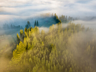 Fog envelops the mountain forest. The rays of the rising sun break through the fog. Aerial drone...