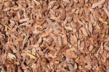 Background or texture from Pine mulch small wood chips is used to cover the soil in the garden
