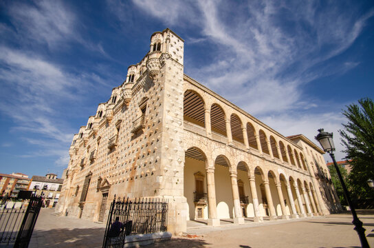 palacio del infantado 