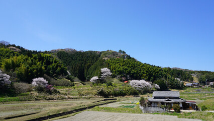 landscape in the mountains