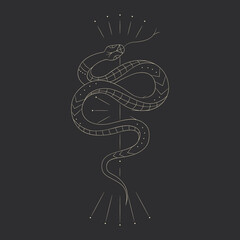 abstract illustration of mystical snake. image of beasts, hands, phases of the moon and sun. sacred graphics geometry. mystical energy