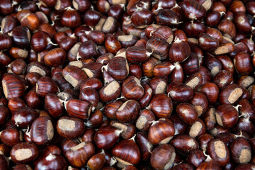 delicious brown chestnuts, symbol of the autumn fruit