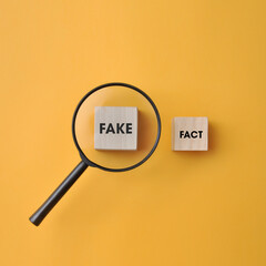 The words are fact and fake and a magnifying glass above it. Analysis of fake information