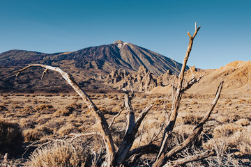 Tenerife Teide national park