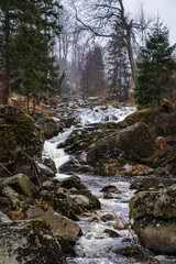 River Ilse near Ilsenburg in Harz National Park in Germany flowing over big rocks in a mountain forest