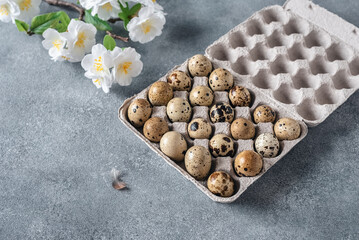 Raw quail eggs in a carton on a gray concrete background. Easter. Side view, selective focus.