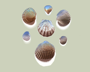 illustration of a beach holiday collection of seashells