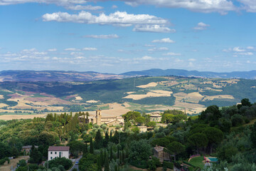 Obraz premium Rural landscape near Montalcino,Siena, Tuscany