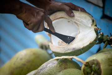 dark skinned man taking out coconut cream using sharp knife and special spoon from green freshly...