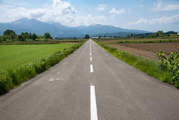 空まで伸びるまっすぐな道 北海道