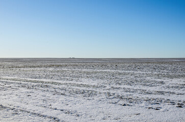 Agricultural field of winter wheat in winter under snow