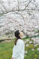 満開の桜の花と爽やかな女性