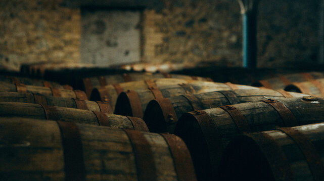 wine barrels in cellar