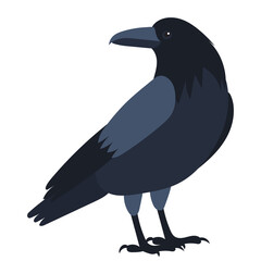 Raven flat design, isolated, vector