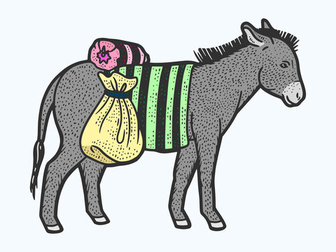 Donkey carrying heavy loads color. Sketch scratch board imitation. Engraved illustration for and T-shirts or tattoo.