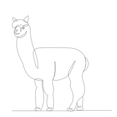 lama drawing by one continuous line, isolated vector