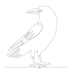 Raven drawing in one continuous line, isolated vector