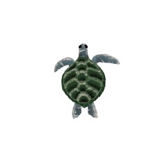 Fototapeta premium Sea turtle illustration on white background. Ocean animal swim. Reptile in marine isolated. For kids, invitations, nursing, fabric, wallpapers.