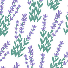Fototapeta na wymiar Hand drawn seamless pattern with lavender bunches, flat vector illustration on white background. Cute provence flowers. Purple plant with branch and leaves.