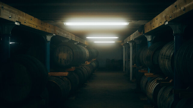 whisky cellar with barrels