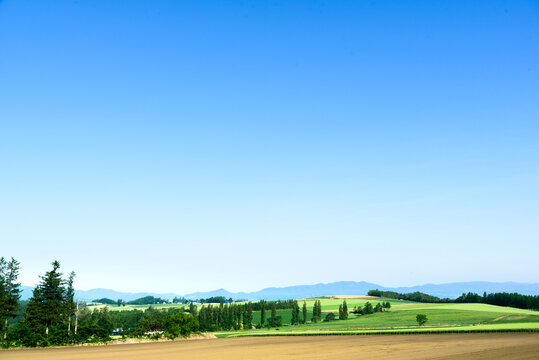 さわやかに晴れ渡った美瑛の丘の風景  北海道美瑛町の観光イメージ
