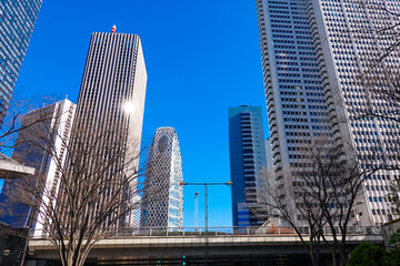 東京都庁前から西新宿の高層ビル群