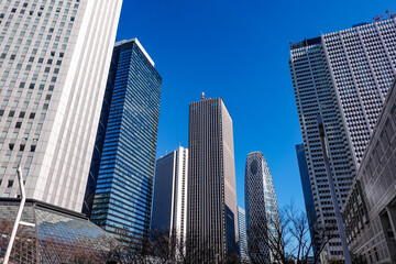 東京都庁前から西新宿の高層ビル群