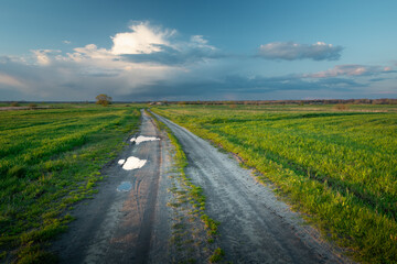Fototapeta na wymiar Dirt road with puddles between green fields, Czulczyce, Poland