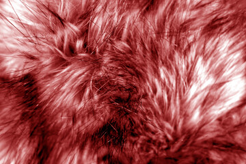 Animal fur close up in red tone.