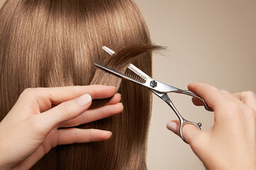 Hairdresser cuts long blonde hair with scissors. Hair salon, hairstylist. Care and beauty hair products. Dyed hair