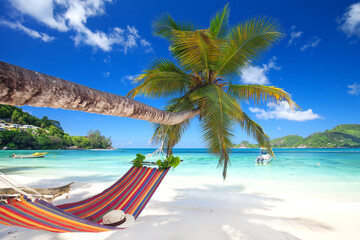 Fototapeta na wymiar amazing palm beach with turquoise sea and colorful hammock