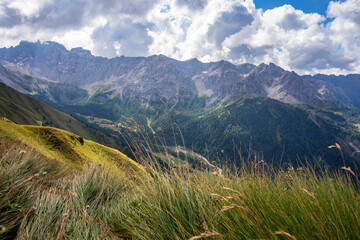 Mountain grass with the peaks above Val San Nicolo in the background. Dolomites. Italy.