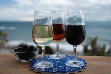 Tasting of Spanish sweet and dry fortified Vino de Jerez sherry wine and green olives with view on blue sea near El Puerto de Santa Maria, Andalusia, Spain