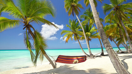 perfect place at the beach with hammock