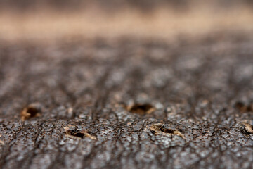 Extreme closeup of a leather